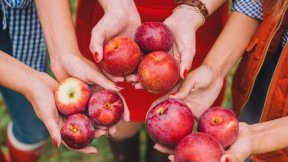 Göz gördüyündən