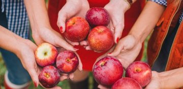 Göz gördüyündən