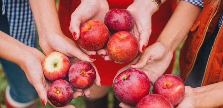 Göz gördüyündən